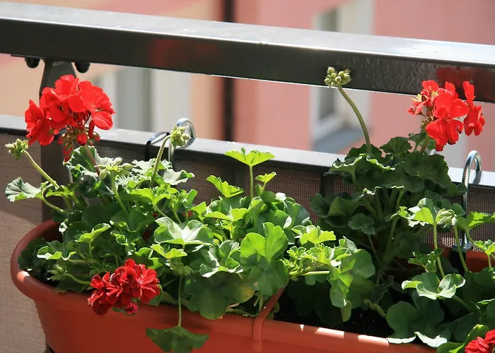 Starowka - Riverside Ii Апартаменты *